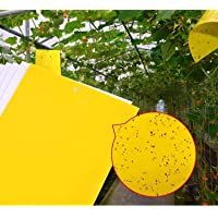 Voarge 44Pcs Gelbsticker Gelbtafeln- Beidseitig Gelbtafeln invernadero- Fliegenfänger Sticker Insektenfänger…